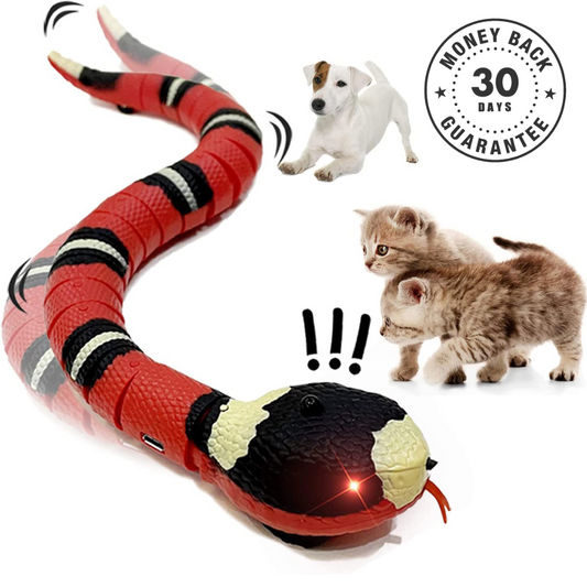 Coopae™ Snake Toy